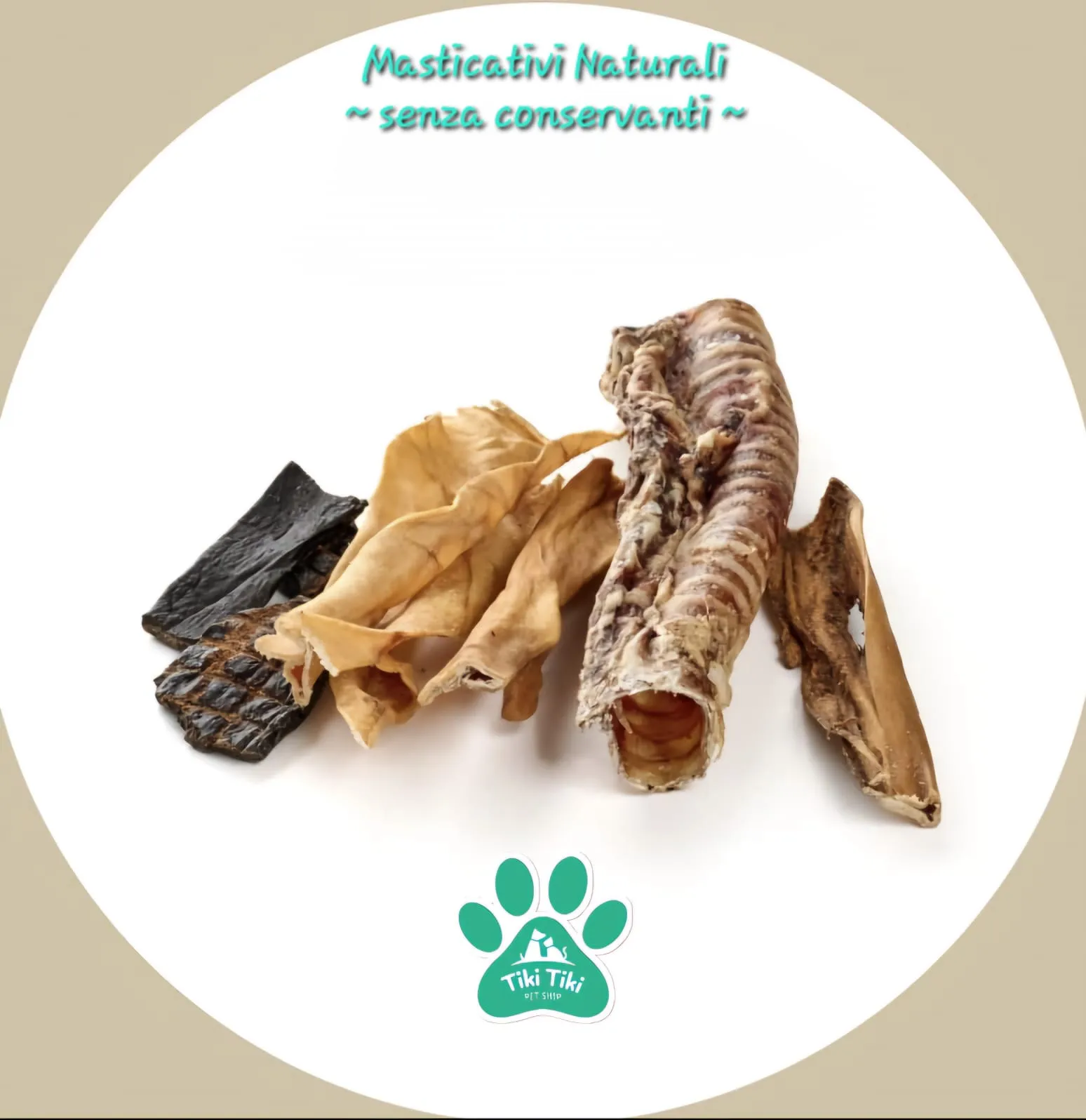 Immagine del carosello